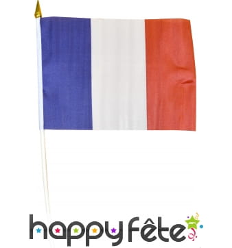 Drapeau France sur hampe