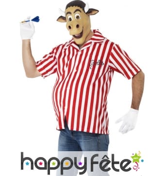 D&eacute;guisement joueur fl&eacute;chettes