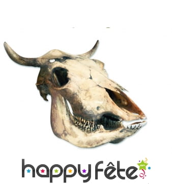 Décoration murale crâne Western