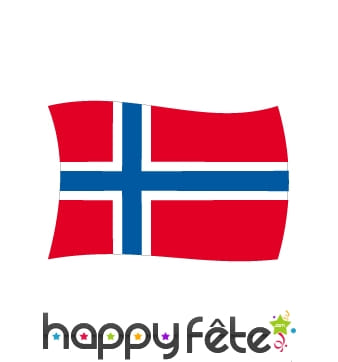 Drapeau Norvège (100x150)