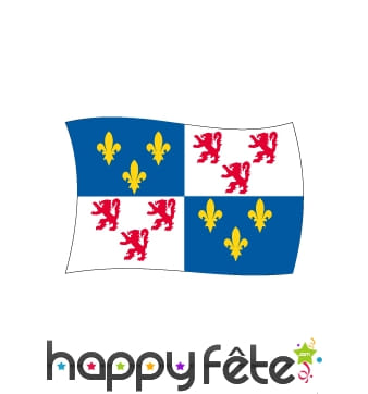 Drapeau Picardie (100x150)