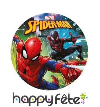 Disque Spiderman de 20cm en sucre
