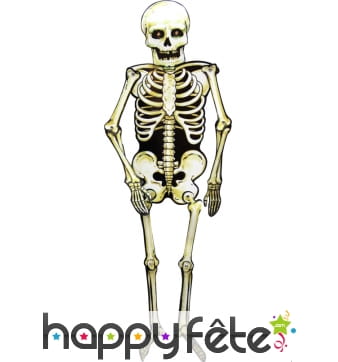 Décoration, Squelette en carton. 70 cm.