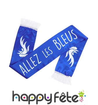 Écharpe de Supporter Équipe de France