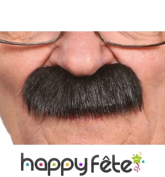 Epaisses fausses moustaches noires