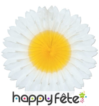 Eventail marguerite