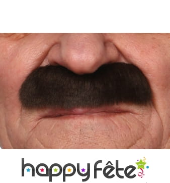 Epaisses moustaches brunes
