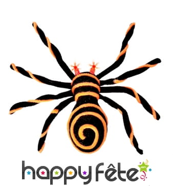 Enorme Mygale jaune et noir yeux lumineux