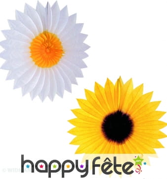 Eventail tournesol et marguerite