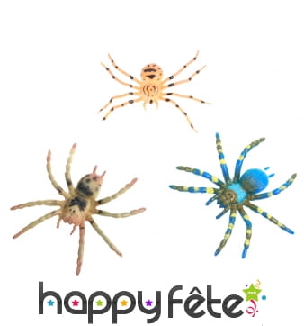 Fausse araignée en plastique