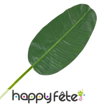 Feuille de bananier