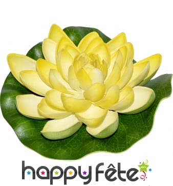 Fleur de lotus flottant