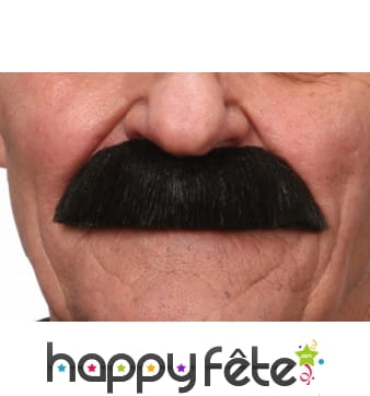 Fausses moustaches brune épaisses