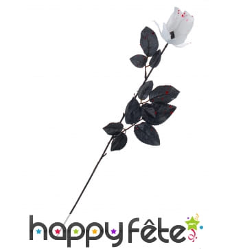 Fausse rose blanche ensanglantée