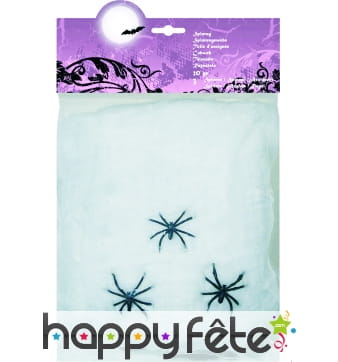 Fausse toile d'araignée