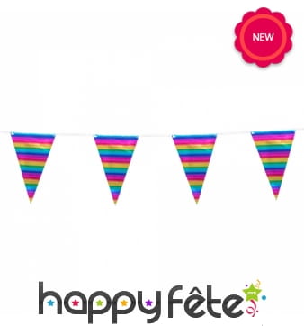 Guirlande de fanions arc-en-ciel métallisés, 10m
