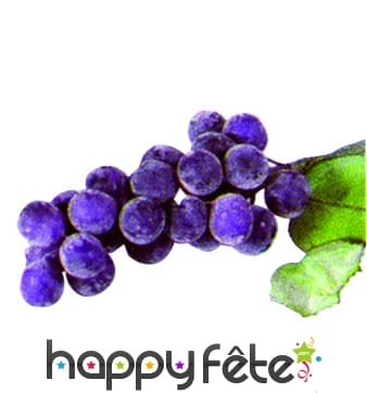 Grappe de raisin