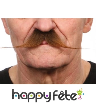 Grosses et fines moustaches chatains