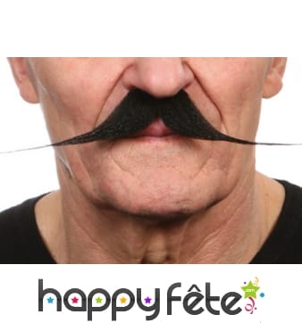 Grosses et fines moustaches noires