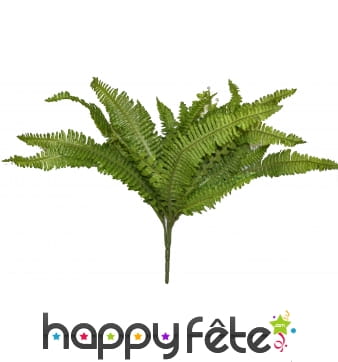 Grande fougère exotique