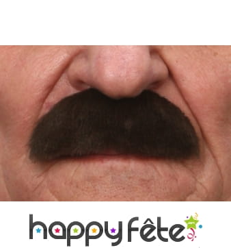 Groose Moustaches brosse noire