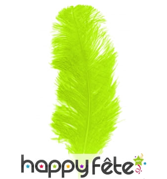 Grande plume anis d'autruche 25/32cm