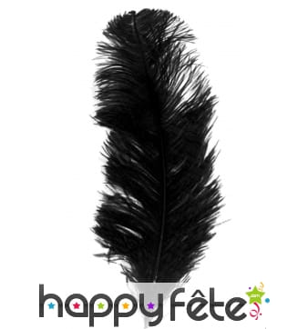 Grande plume noire d'autruche de 25/32cm