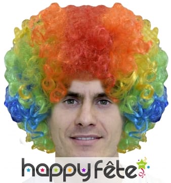 Grosse perruque pop multicolore