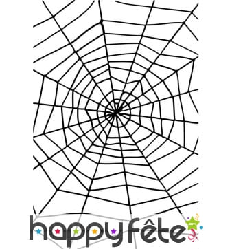 Grande toile d'araignée