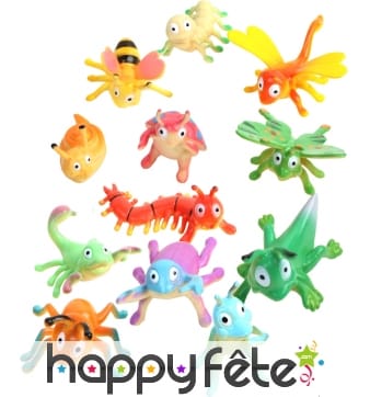 Insecte rigolo de 4 à 6 cm