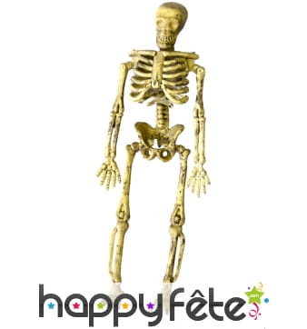 Lot de 4 squelettes à suspendre