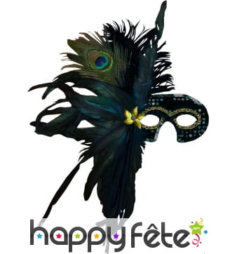 Loup luxueux avec plumes noires