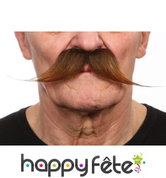 Longues moustaches chatain