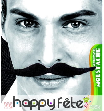 Longues moustaches droites