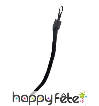 Longue queue fine de chat noir