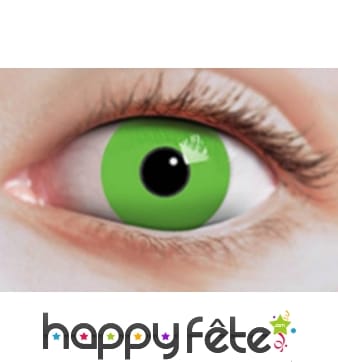 Lentilles vertes unies