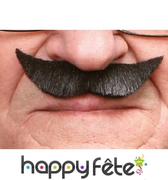 Moustaches anglaises