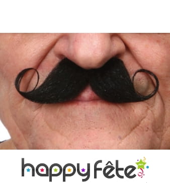 Moustaches bouclées noires