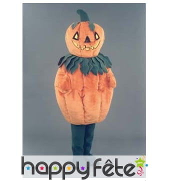 Mascotte citrouille orange