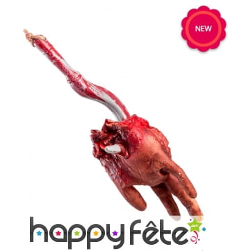 Main coupée sur crochet de boucher