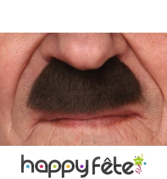 Moustaches dupond, tintin