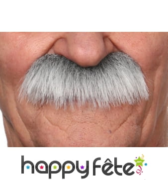 Moustaches de vieillard