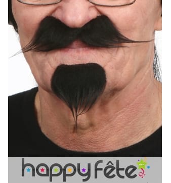 Moustaches et barbichette noires