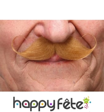 Moustaches Francaise blondes