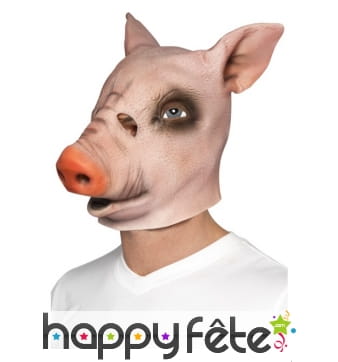 Masque intégral de cochon