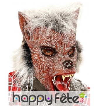 Masque intégral de petit loup garou poilu