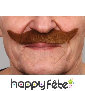 Moustaches norway chatain