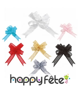 Minis noeuds en organdi