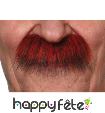 Moustaches rousses épaisses