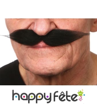 Moustaches style 19ème